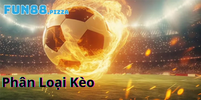 Phân loại kèo cược Score Box